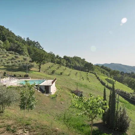 팜스테이 Dolce Sentire *