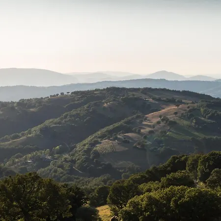 Dolce Sentire Gospodarstwo agroturystyczne *