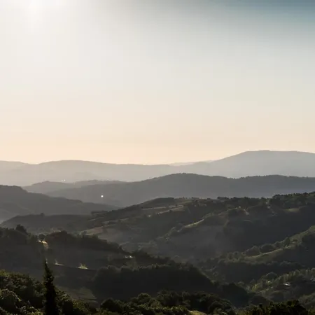 Dolce Sentire Gospodarstwo agroturystyczne