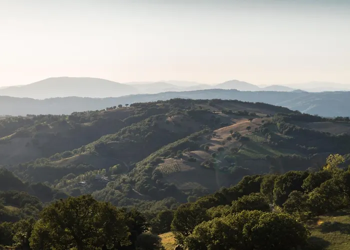 Dolce Sentire Alloggio per agriturismo *